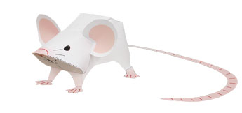 mouse_i_e.jpg